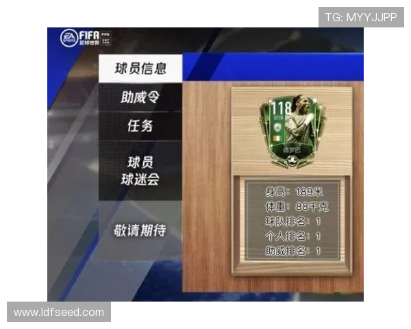 FIFA调整座位档次引发球迷强烈反应 FIFA调整座位档次引发球迷强烈反应